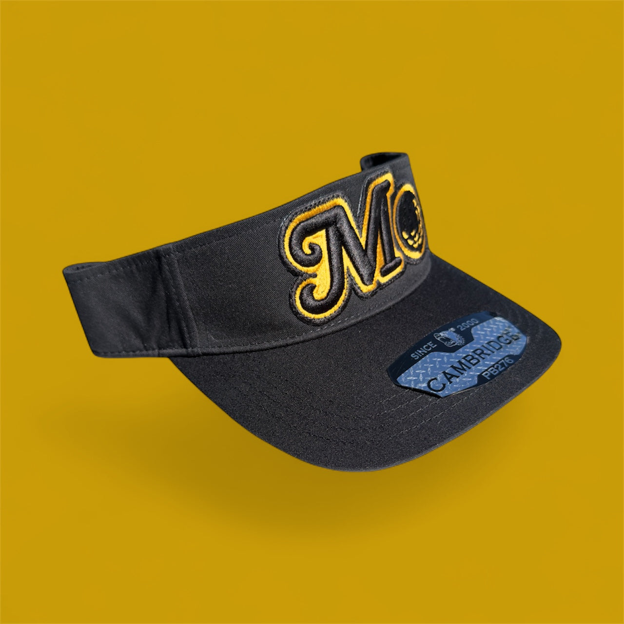 BLACK AND GOLD VISOR